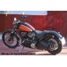 Alforja de basculante para Sportsters mod. LIVE to RIDE Izquierda cuero 