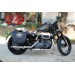 Alforja para Sportster Harley Davidson mod, SPARTA - Willie HD- Especifica - Hueco amortiguador DERECHO