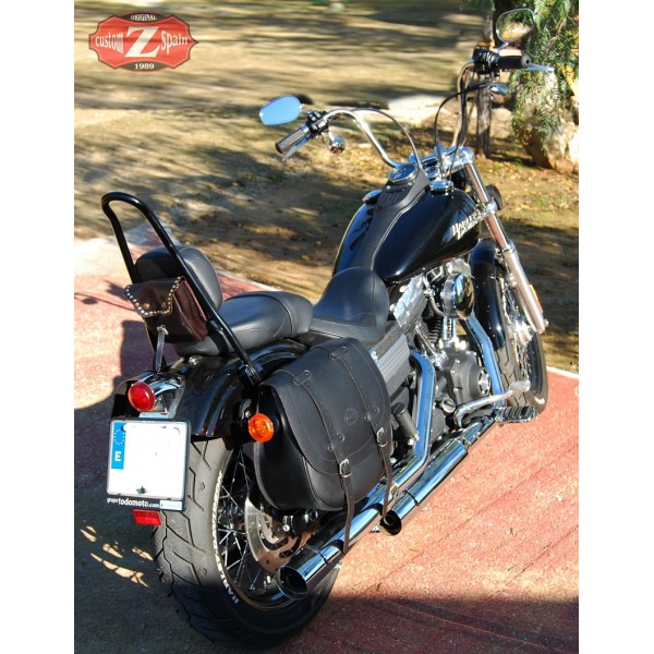 saddlebags for 2019 street bob