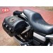 Rigid Saddlebags for Dyna Harley Davidson mod, SUPER STAR - Hollowware damper - Eagle Head HD - Specific