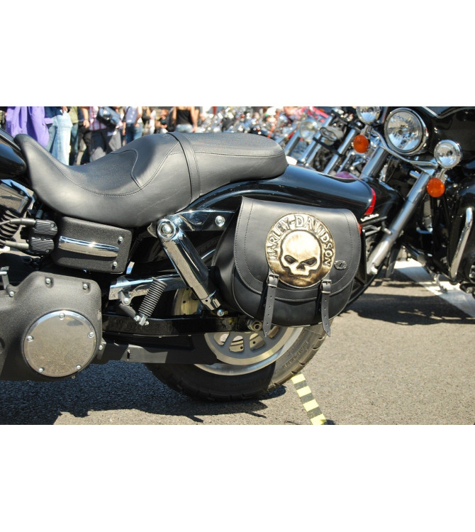SPARTA WILLIE HD PERSONALIZABLE