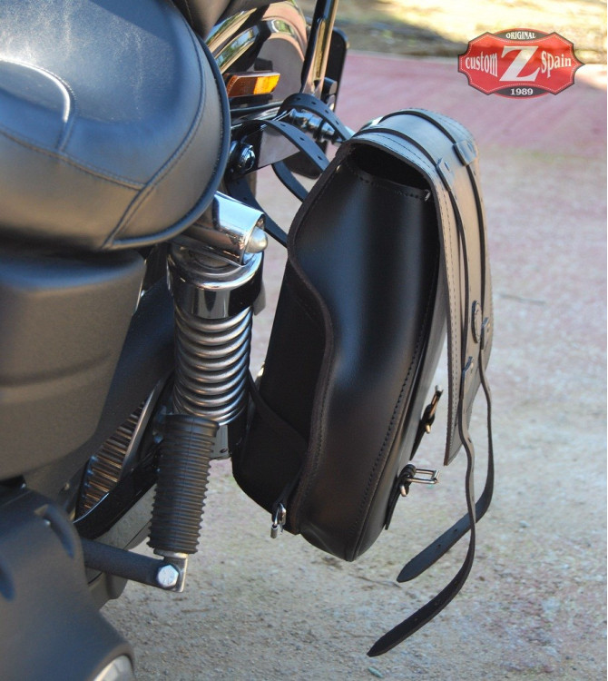 Sacoche latéral pour Street Bob Harley-Davidson mod, SPARTA personnalisée  Willie Skull