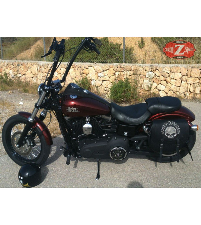 Sacoche latéral pour Street Bob Harley-Davidson mod, SPARTA personnalisée  Willie Skull