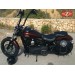 Sacoche latéral pour Street Bob Harley-Davidson mod, SPARTA personnalisée  Willie Skull