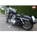 Alforja de basculante para Sportsters Harley Davidson mod, LEGION color cuero