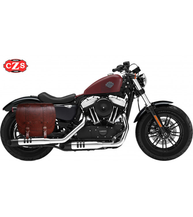 Nuevos accesorios para la Harley Davidson Forty-Eight