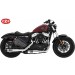 Alforja para basculante para Royal Enfield Continental GT 650 mod, LIVE to RIDE Básica - Modelo DERECHO -