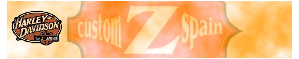 Caruse di pelle per Harley Sportster. Acquistare al prezzo offerto